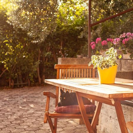 Apartment Borik Pula Zewnętrze zdjęcie